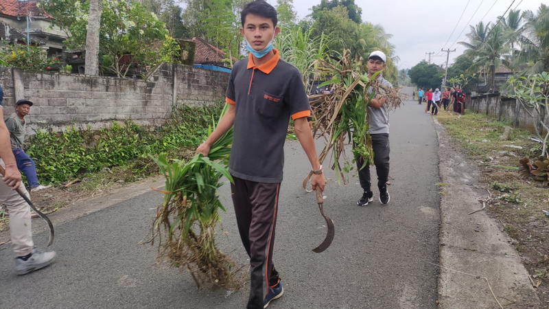 Gotor
