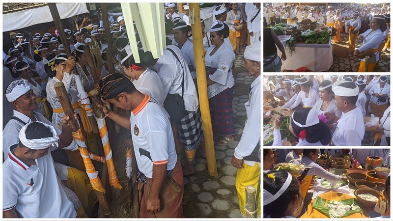 Perbekel Nyarengin Acara Mapasar Rangkaian dari Karya Ngenteg Linggih Ring Pura Puseh Lan Desa 